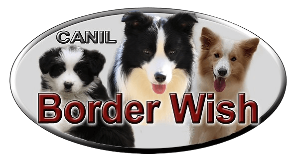 Logo Border Wish